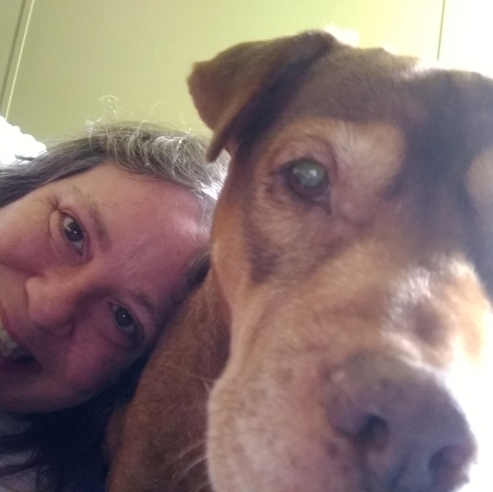 Watches, sunglasses, plus size clothing